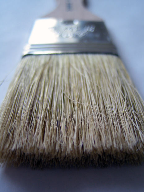 Paint Brush